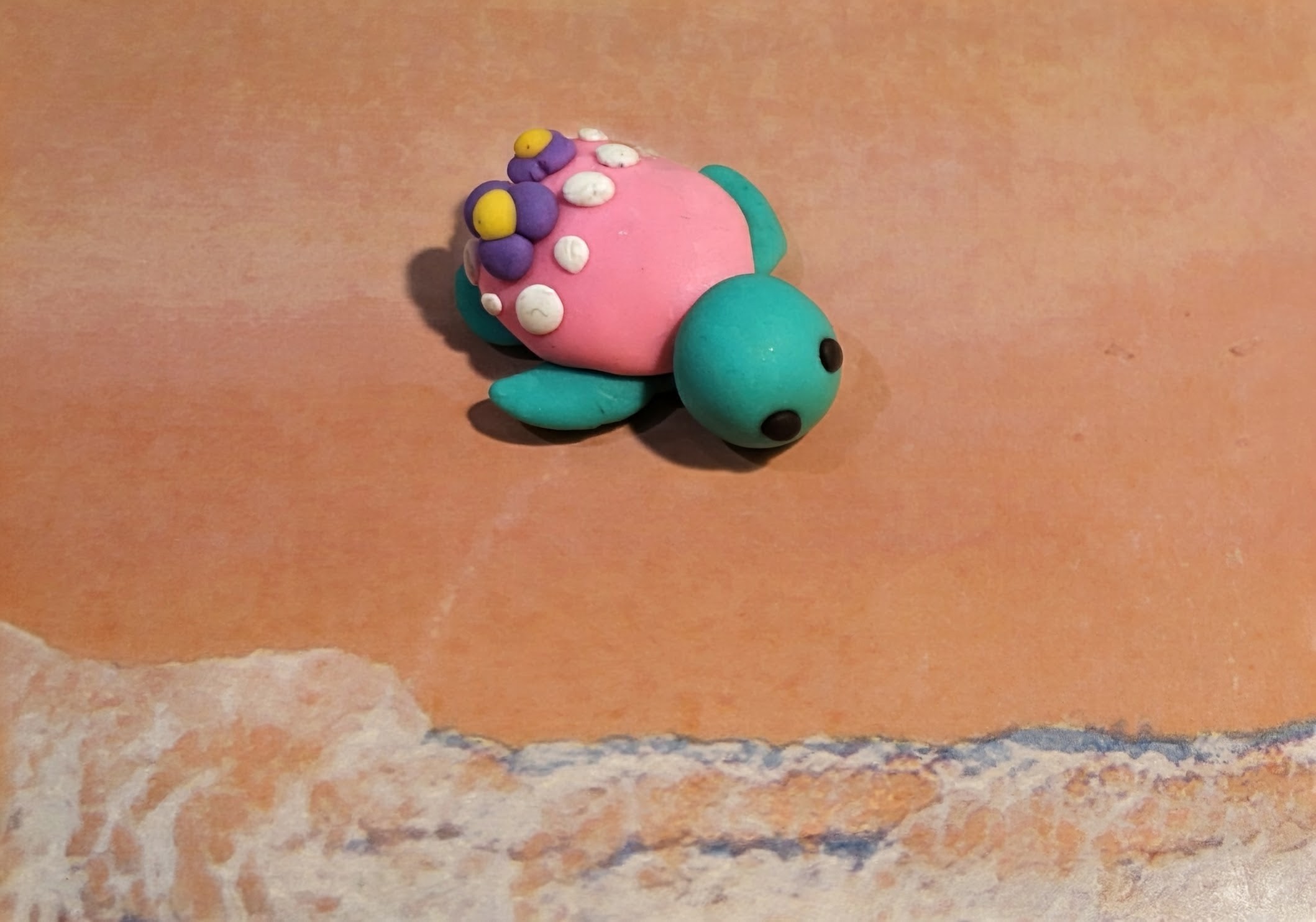 Pink Shell Turtle